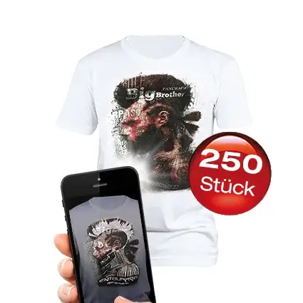 250 Flashshirts mit 5-farbigem Aufdruck + 2. Motiv